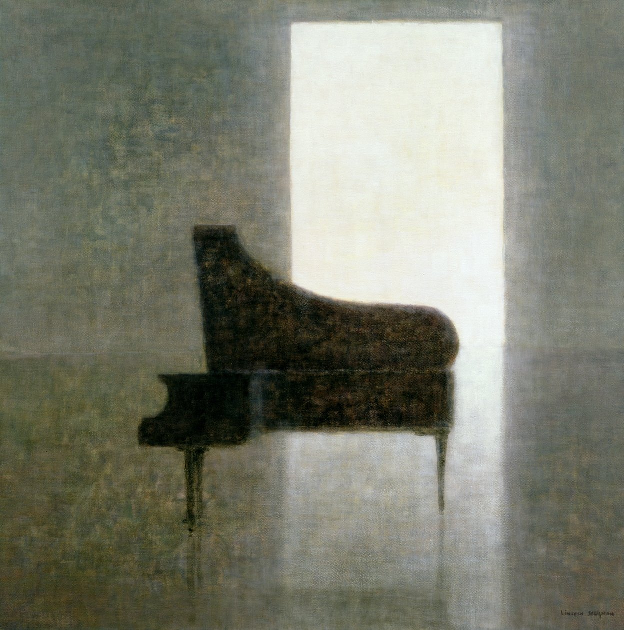 钢琴室，2005（压克力） 作者 林肯·塞利格曼