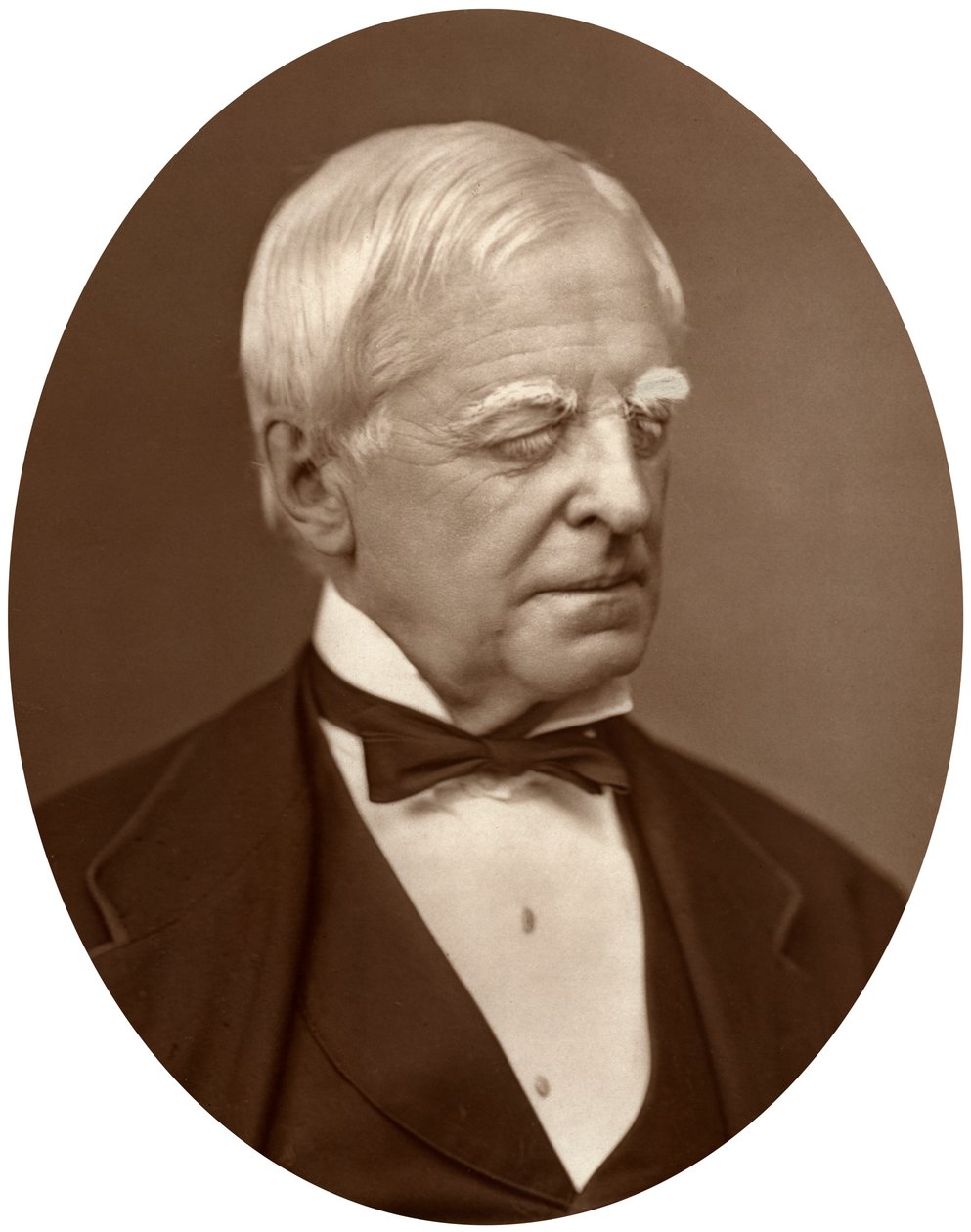 国会议员罗伯特·劳（Robert Lowe），1878年。 作者 洛克和惠特菲尔德