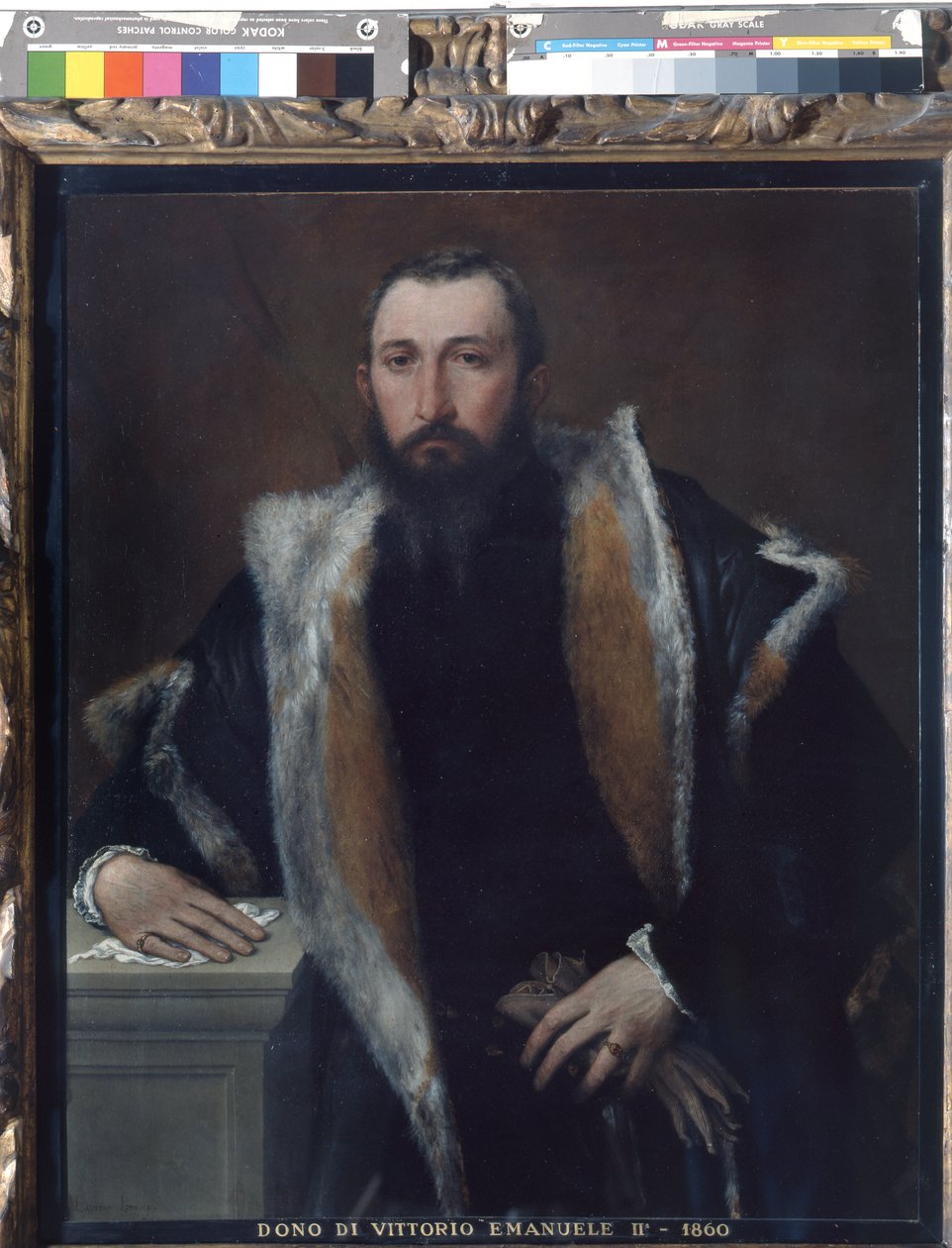 来自布雷西亚的菲比斯的肖像 作者 洛伦佐·乐透（Lorenzo Lotto）