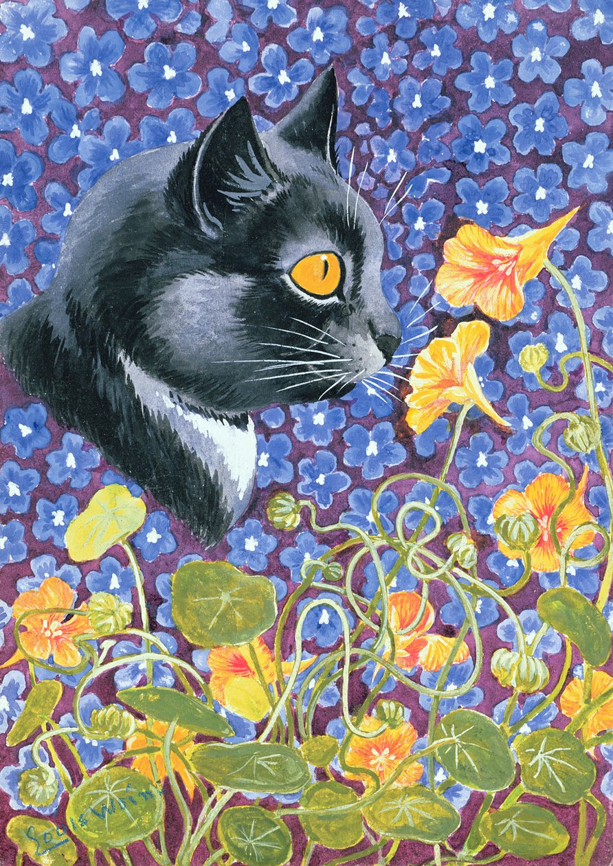 一只猫在花海 作者 路易·韦恩