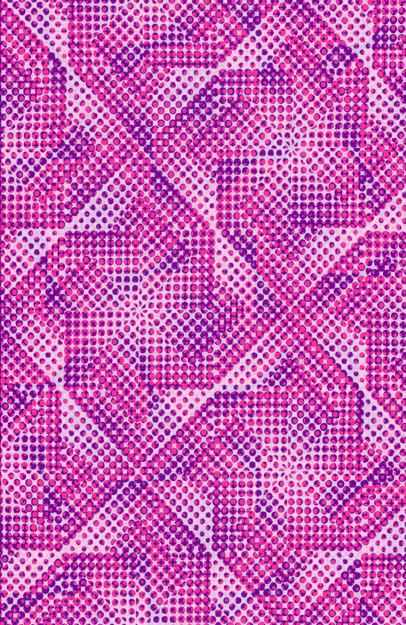 Dotty（数字） 作者 路易莎·赫里福德