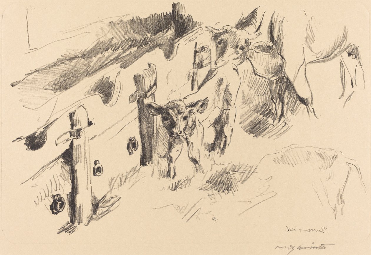 小牛小牛，1912年。 作者 洛维斯·科林斯（Lovis Corinth）