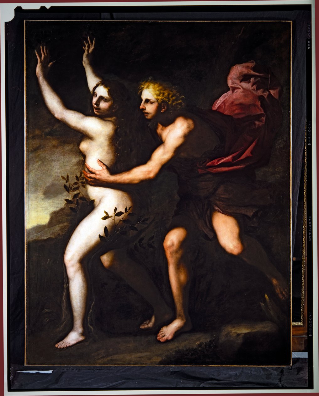 阿波罗与达芙妮（布面油画） 作者 卢卡·乔丹奴（Luca Giordano）