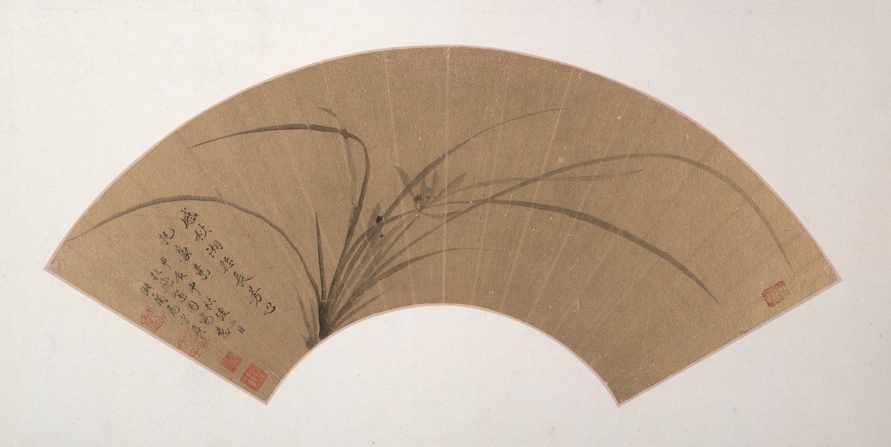 兰花 作者 马守珍