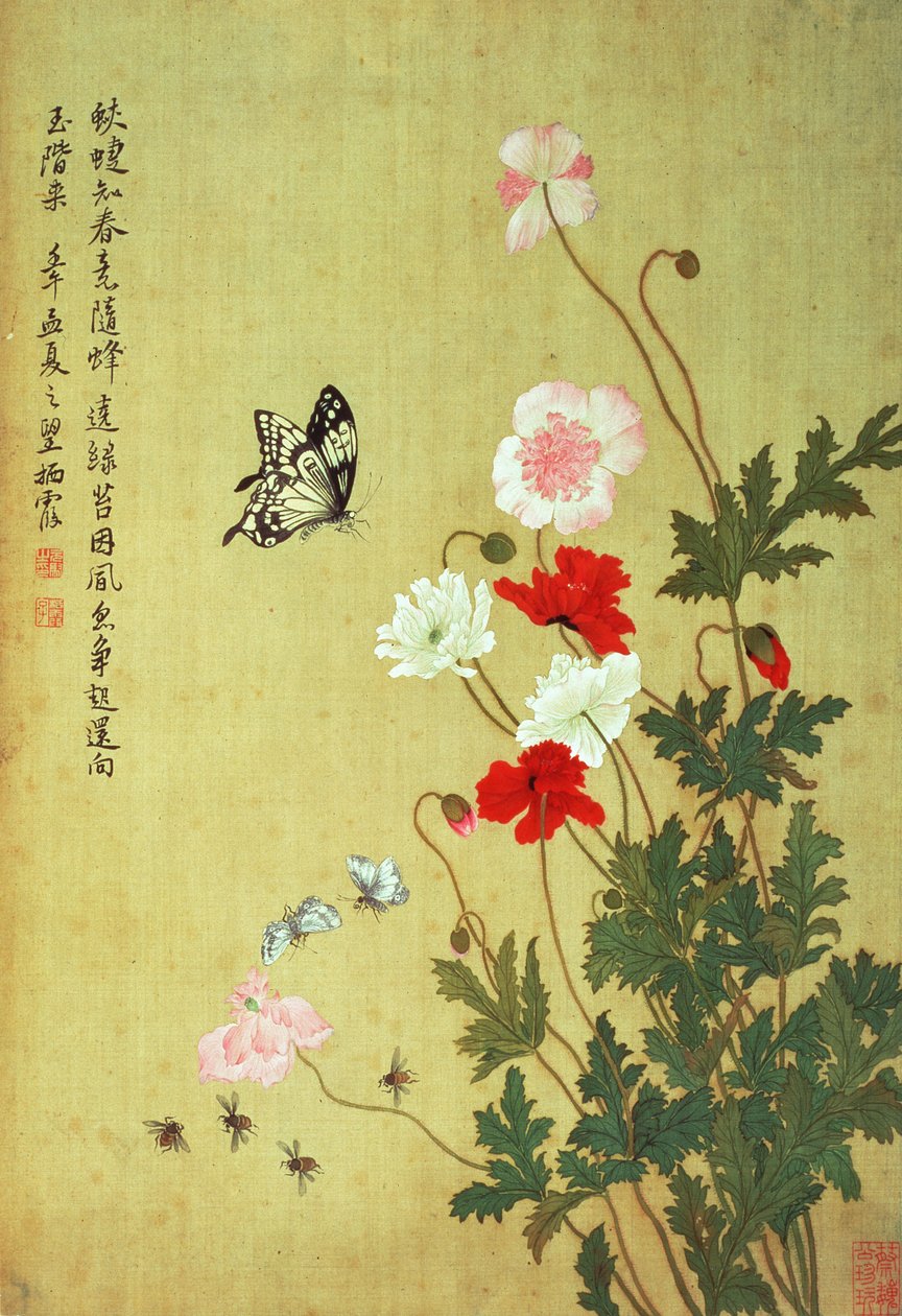 罂粟，蝴蝶和蜜蜂 作者 马元玉