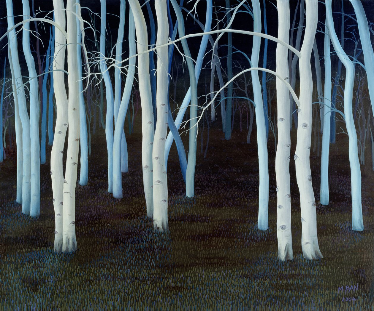神秘主义者，2004年 作者 玛格朵娜·班（Magdolna Ban）