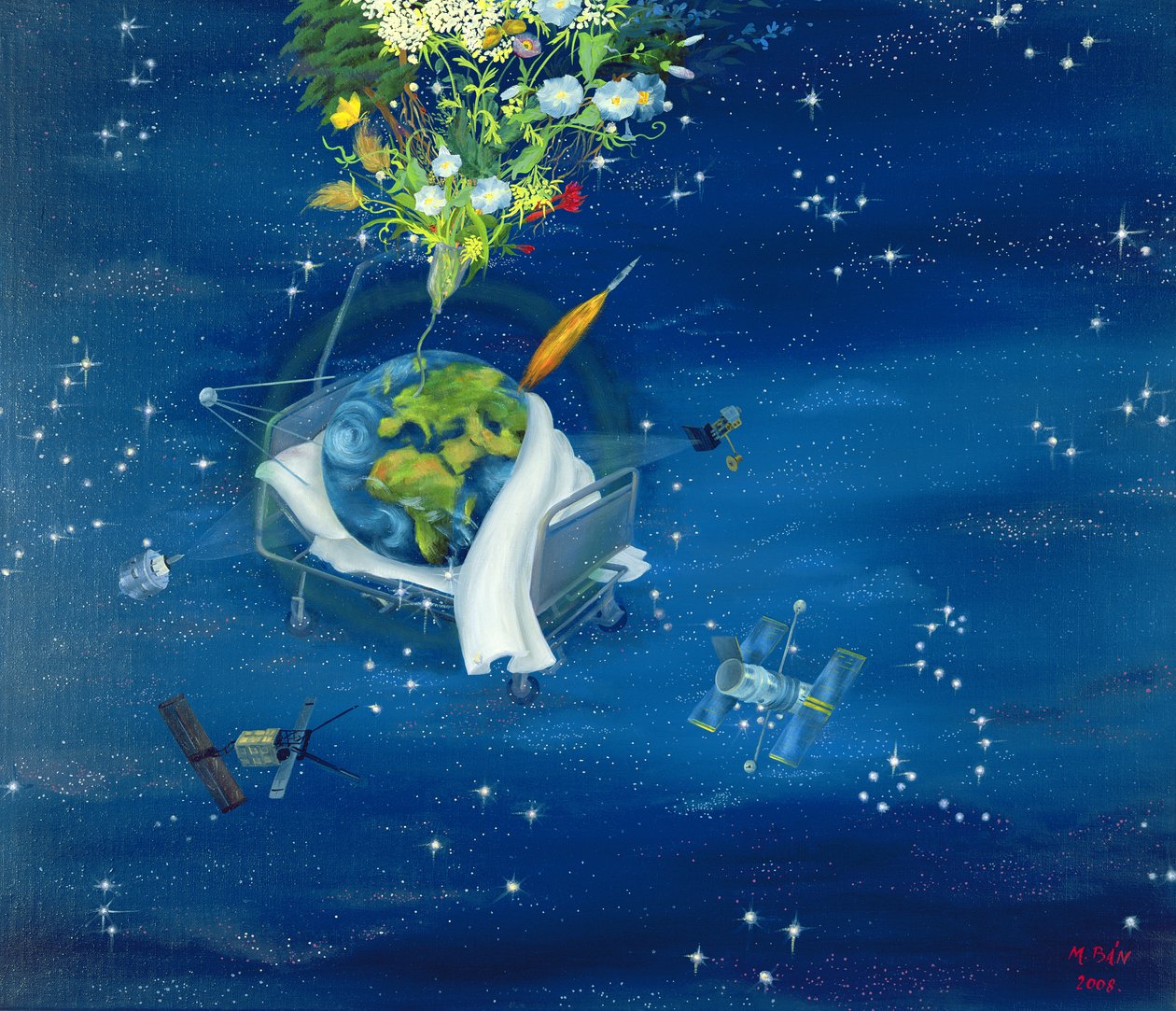 生病的地球，2008年 作者 玛格朵娜·班（Magdolna Ban）