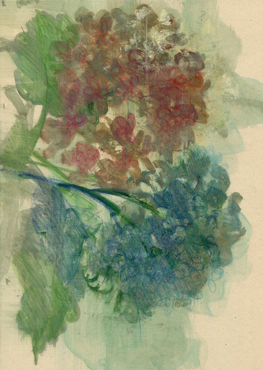 绣球花，2022 年（纸面油画） 作者 玛丽娜·法尔科
