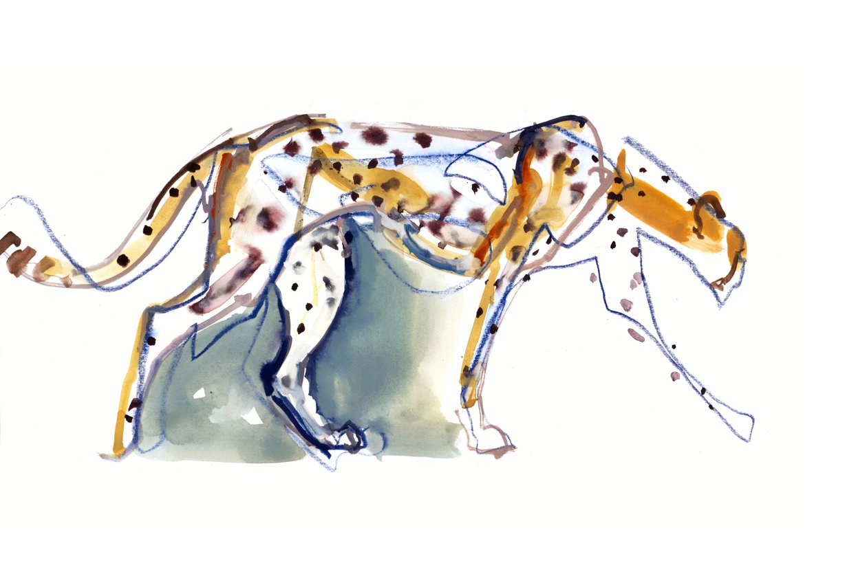 猎豹，2022 作者 马克·阿德灵顿
