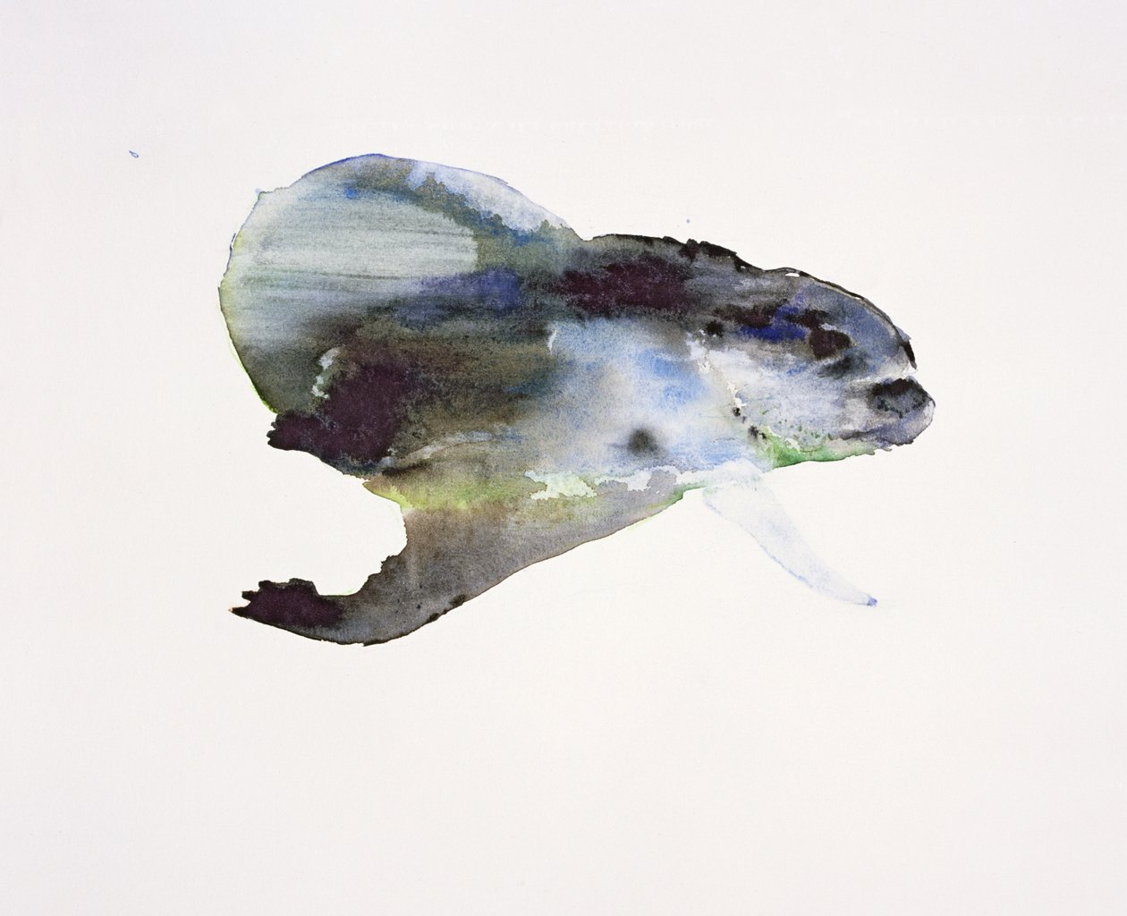 水下 作者 马克·阿德灵顿