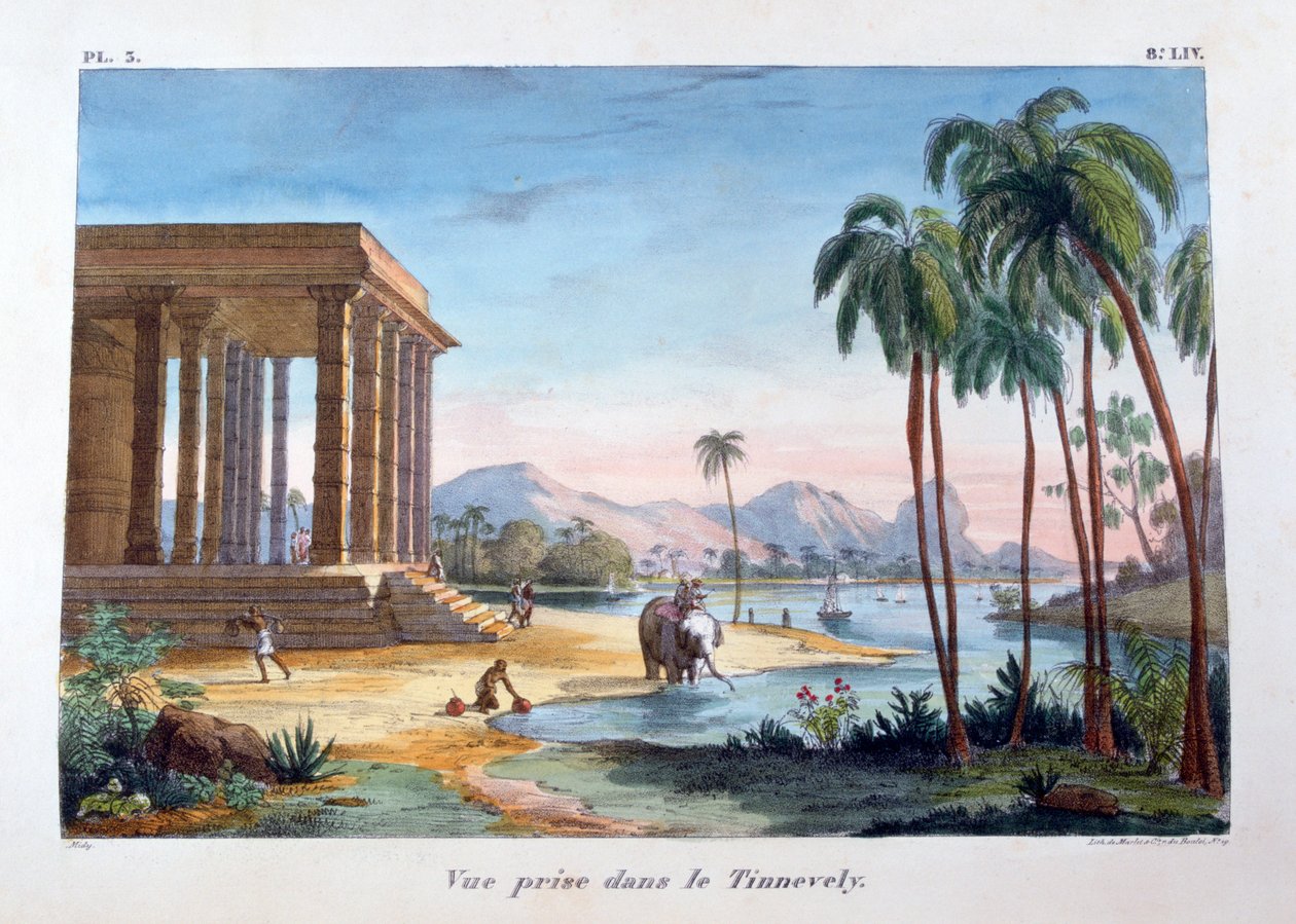 印度廷内维利风景，1828年 作者 Marlet et Cie