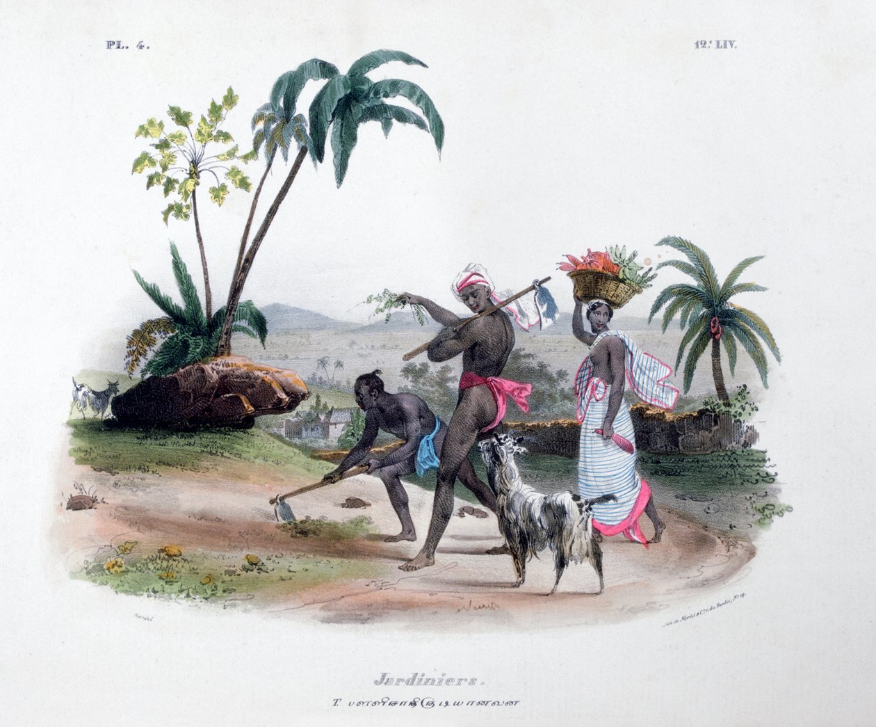 园丁，1828年 作者 Marlet et Cie