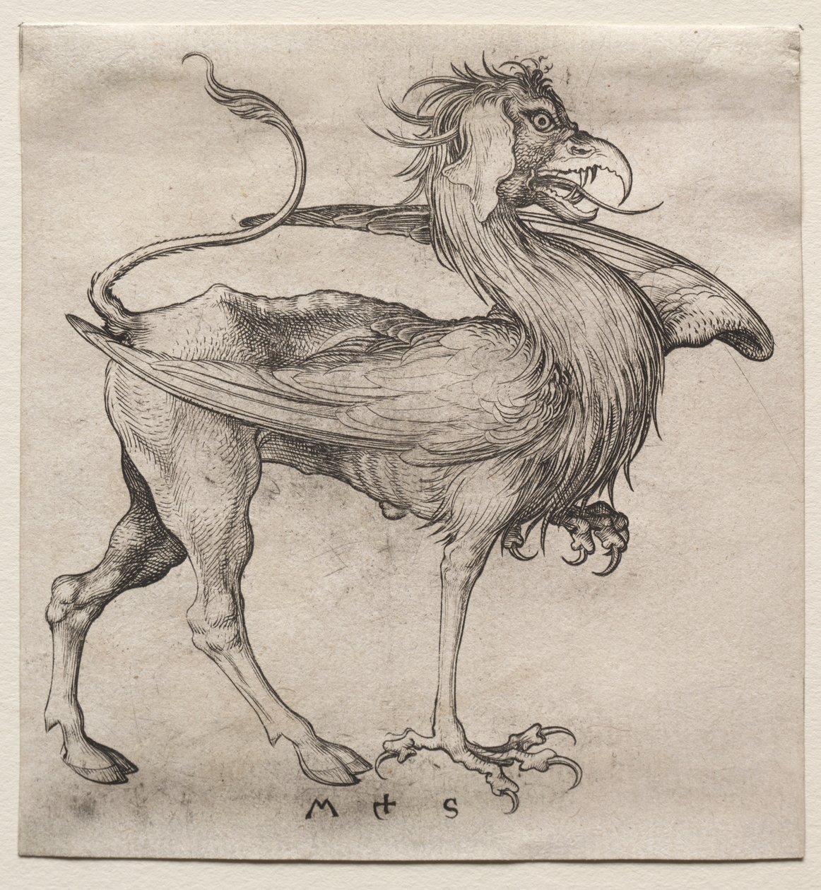 格里芬 作者 马丁·尚高