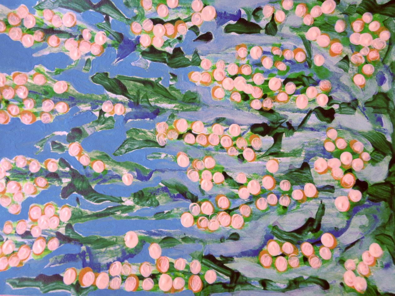 鲜花 作者 玛蒂娜·柯尼兹基（Martina Konitzky）
