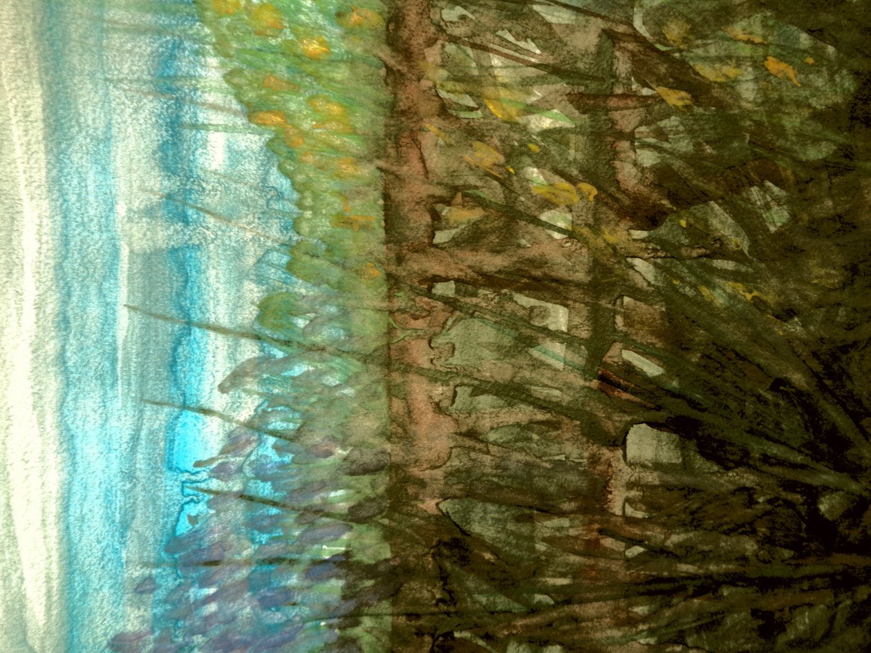 夏季实地考察 作者 玛蒂娜·柯尼兹基（Martina Konitzky）