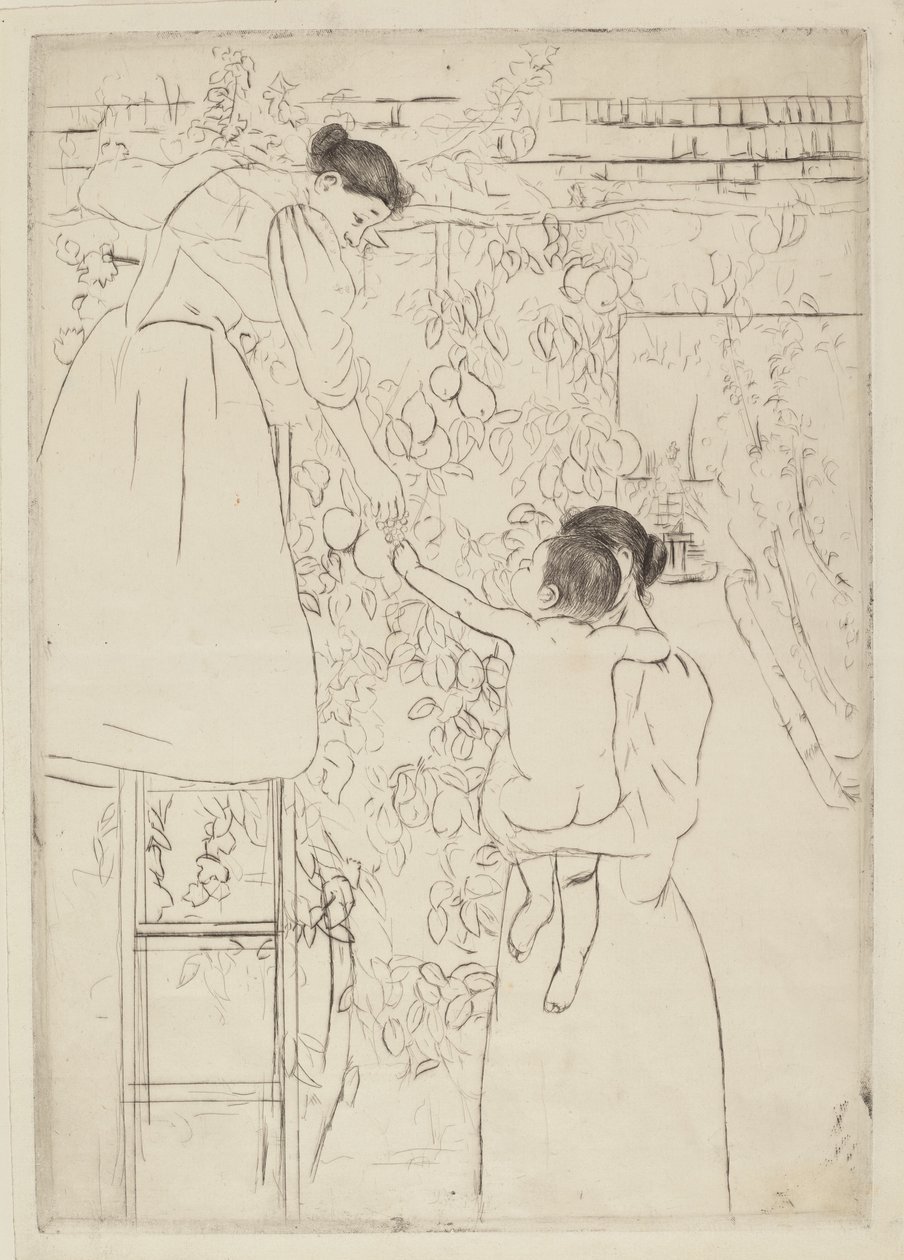 采集水果，约1893年。 作者 玛丽·卡萨特