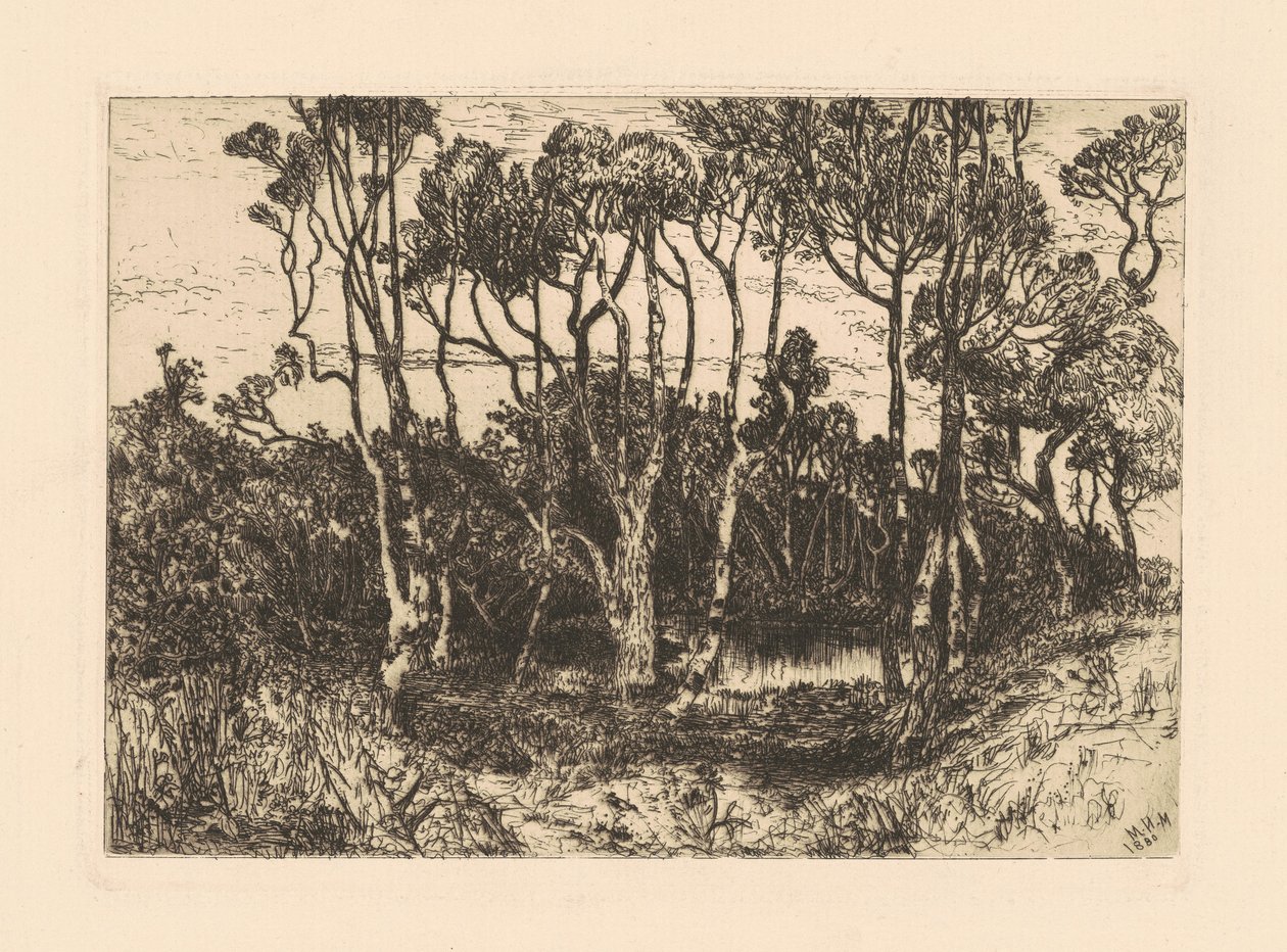 孤独 作者 玛丽·尼莫·莫兰（Mary Nimmo Moran）