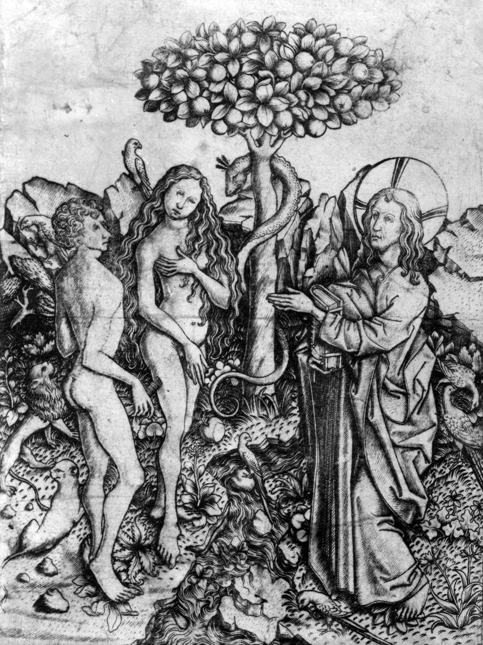 人类的堕落，c.1450-67 作者 硕士ES
