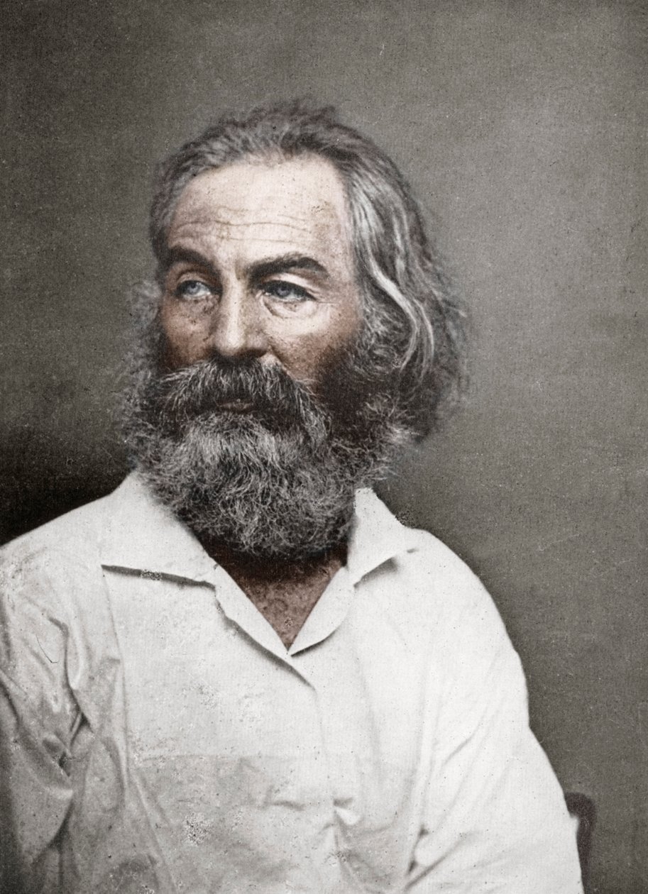 美国诗人沃尔特·惠特曼（Walt Whitman），建于1880年代。 作者 马修·布雷迪