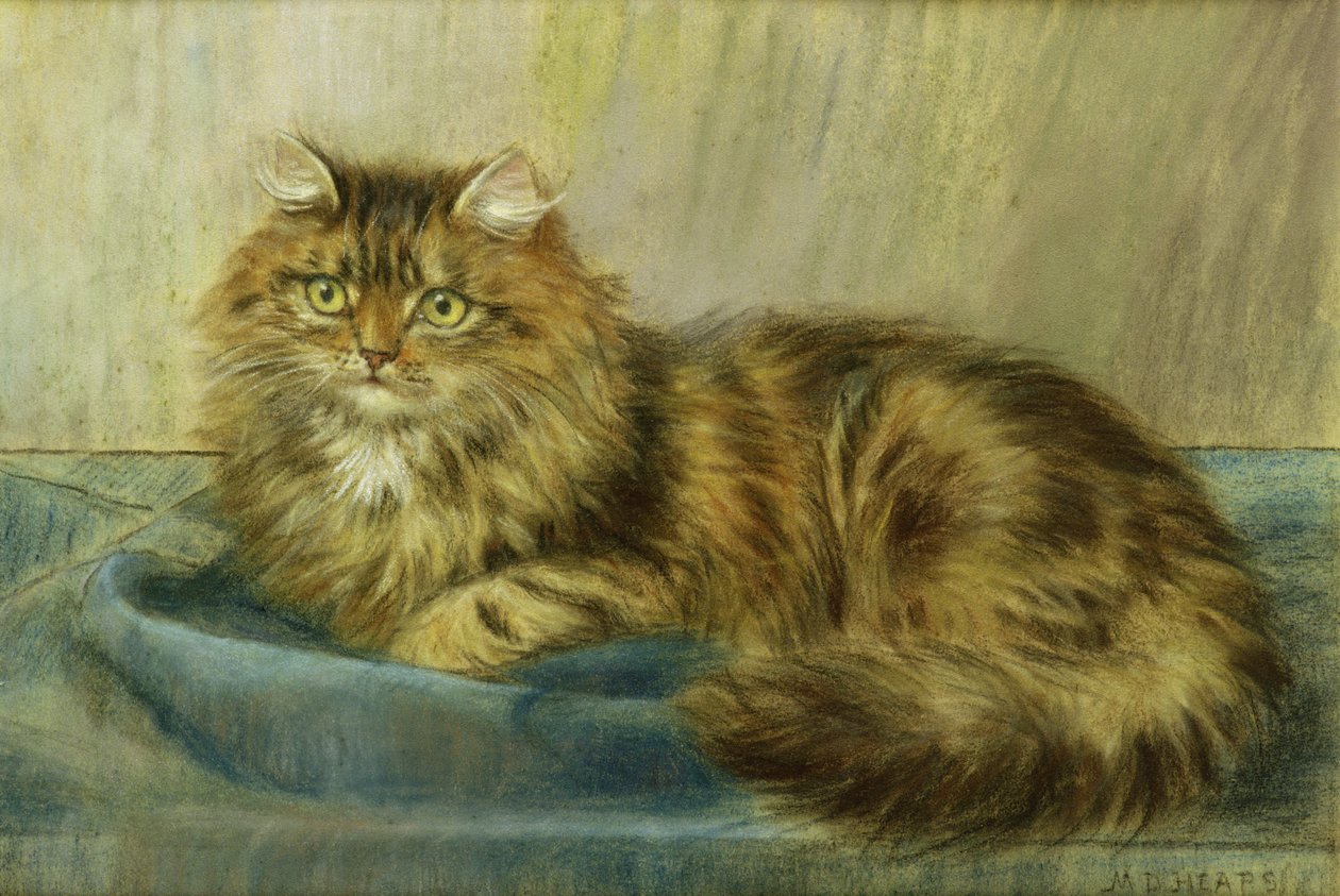 波斯猫粉彩 作者 莫德·D·堆