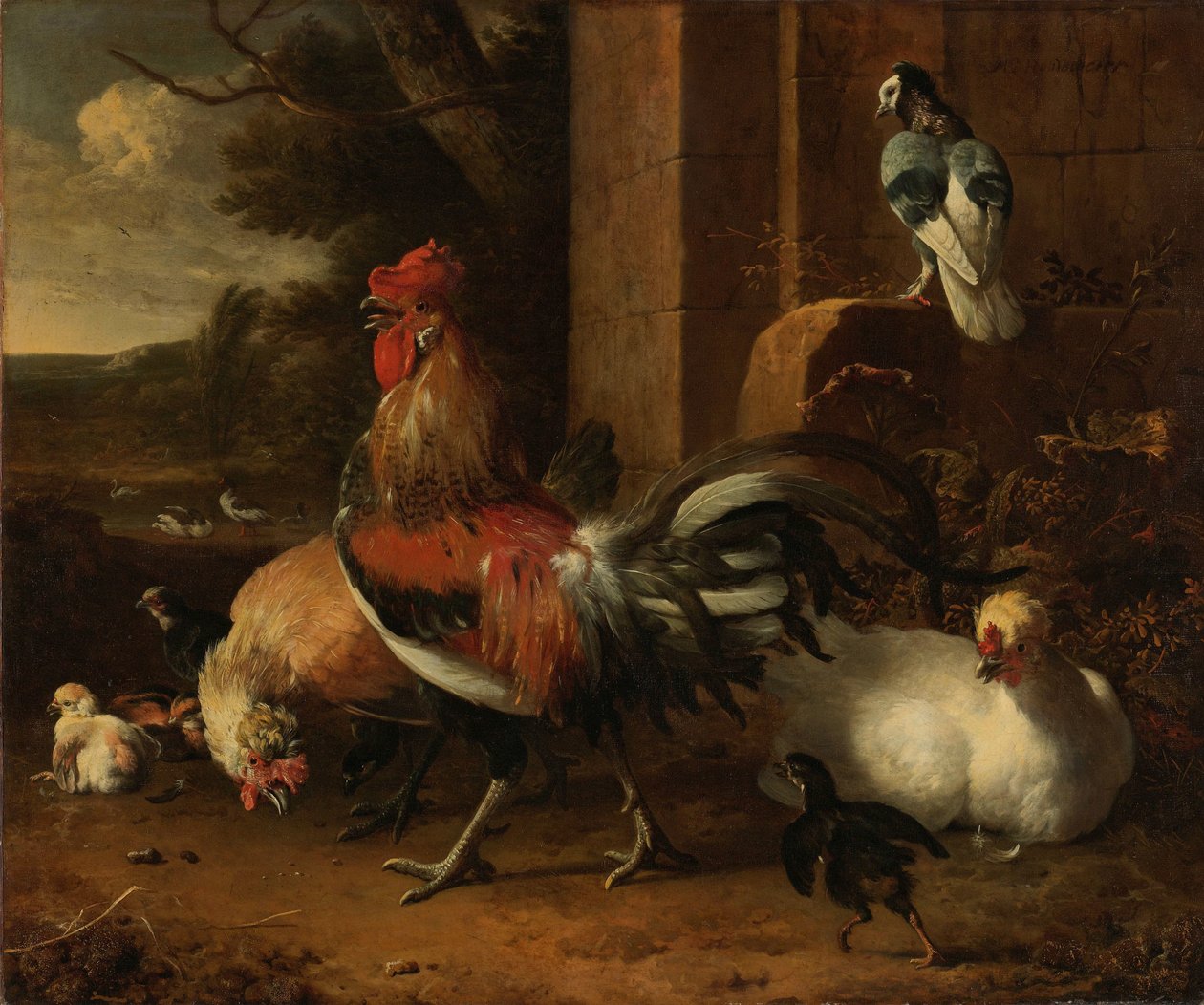 家禽场 作者 Melchior d'Hondecoeter