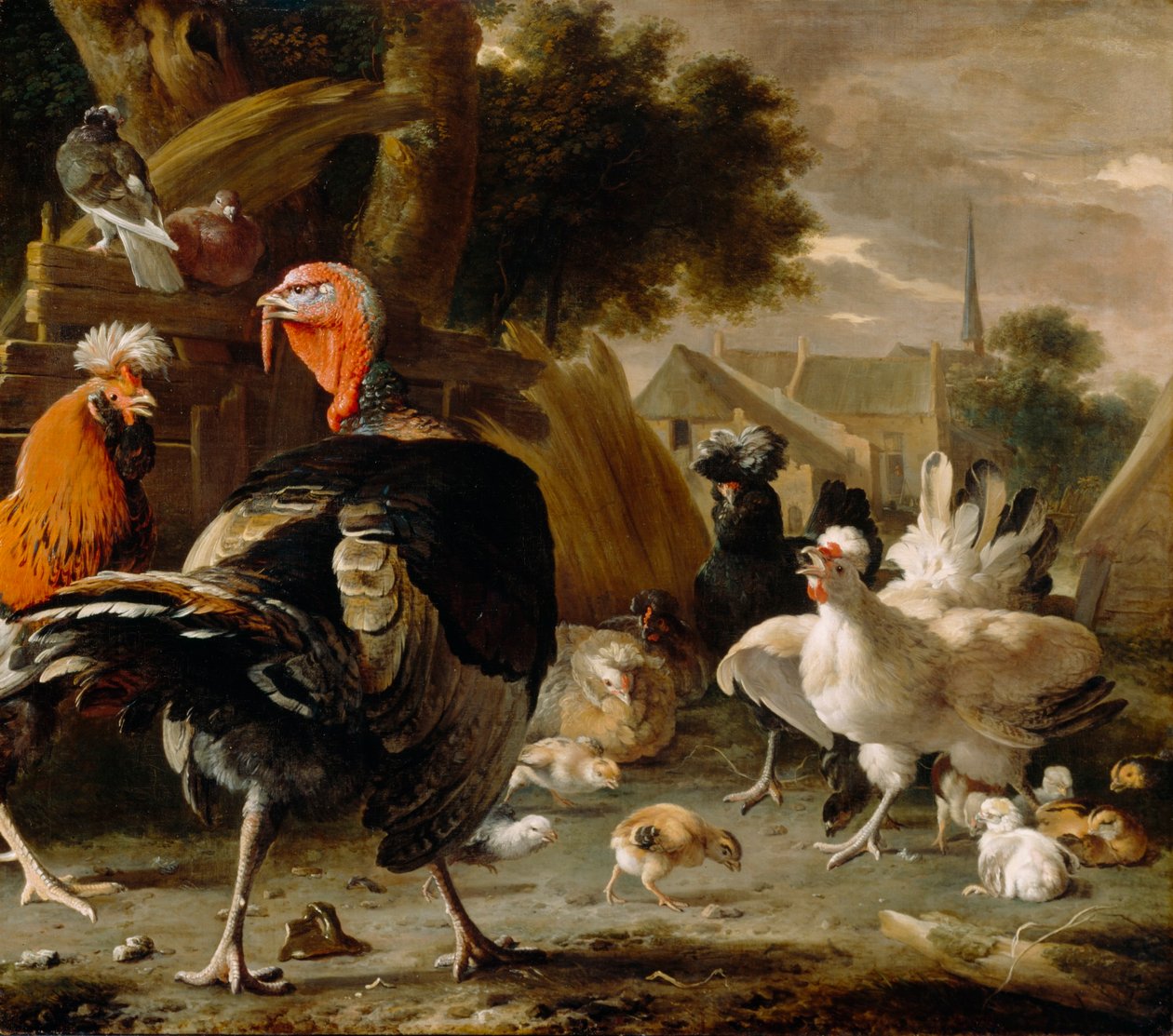 家禽饲养场 作者 Melchior d'Hondecoeter