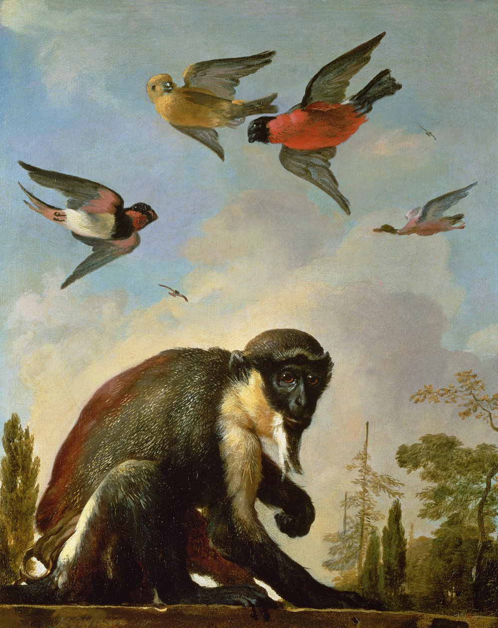 在风景的被束缚的猴子 作者 Melchior de Hondecoeter