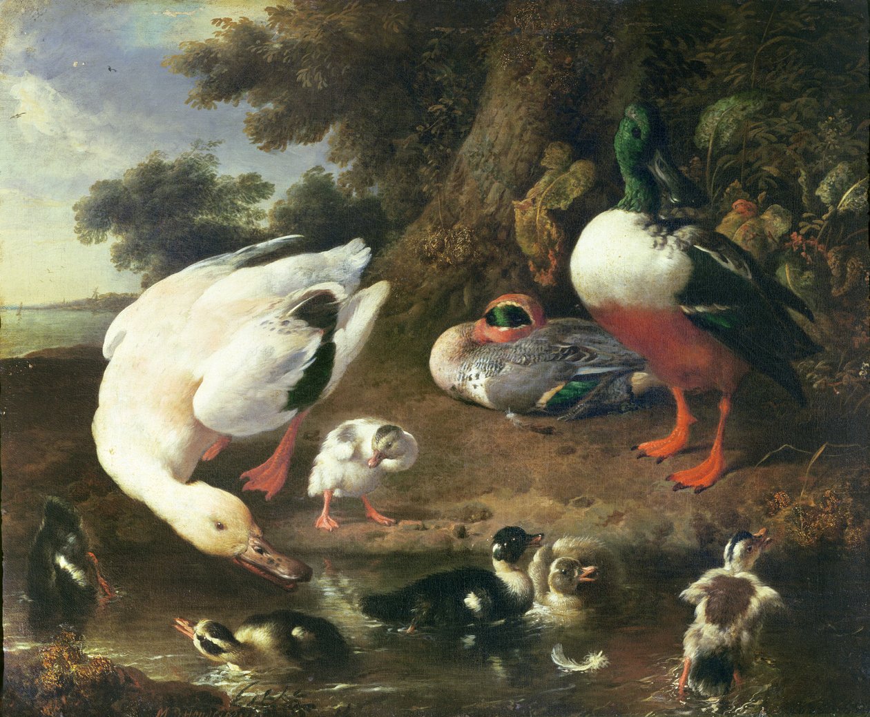 农家鸭 作者 Melchior de Hondecoeter