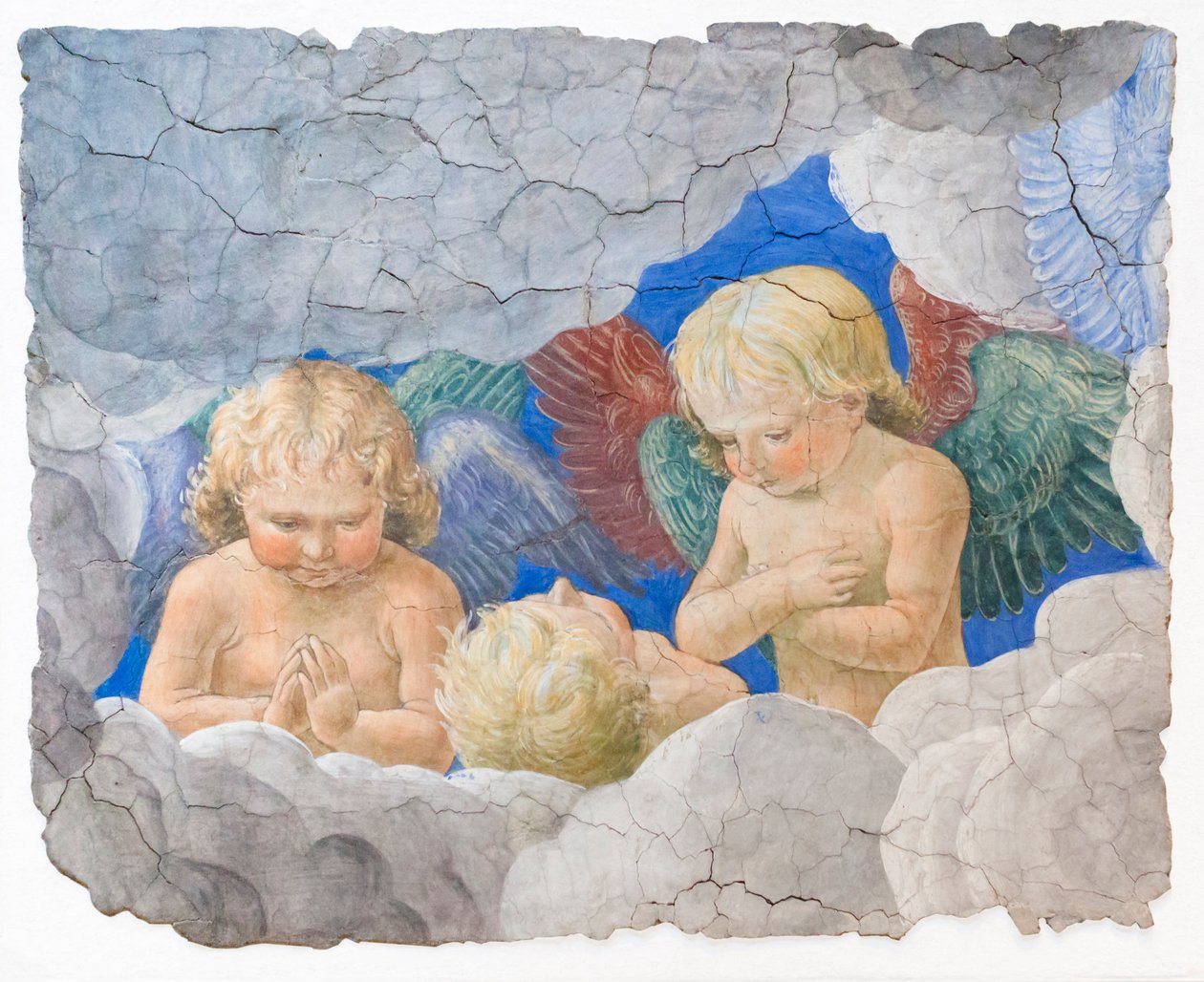 小天使，约 1480 年 作者 Melozzo da Forli