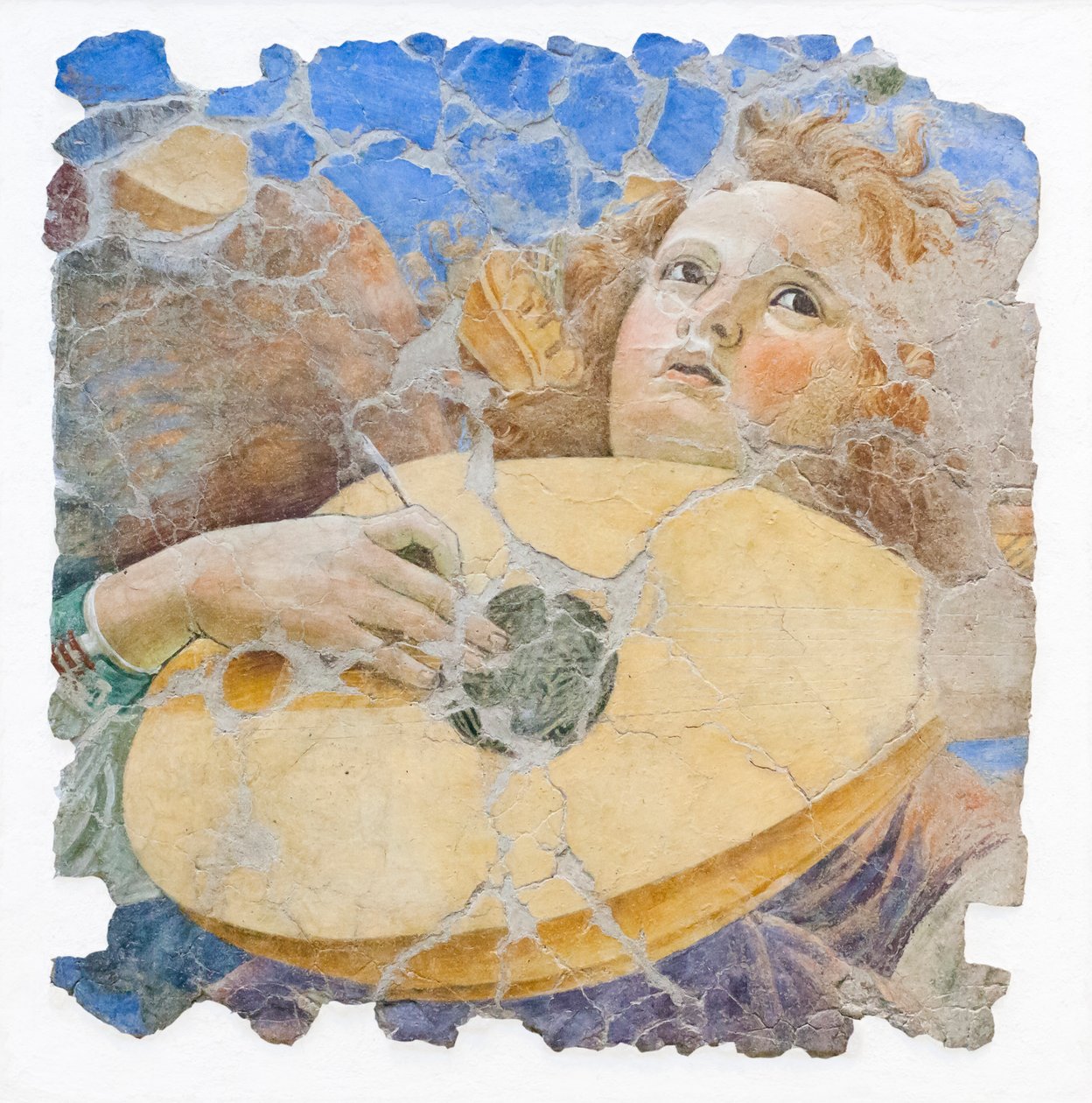 音乐天使，约 1480 年 作者 Melozzo da Forli