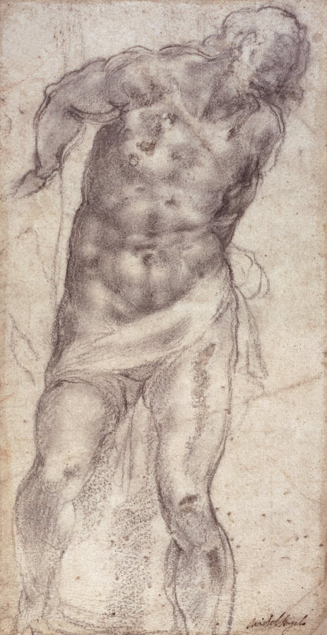 图研究 作者 米开朗基罗（Michelangelo Buonarroti）
