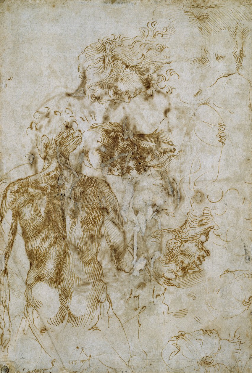 男性裸体研究 作者 米开朗基罗（Michelangelo Buonarroti）