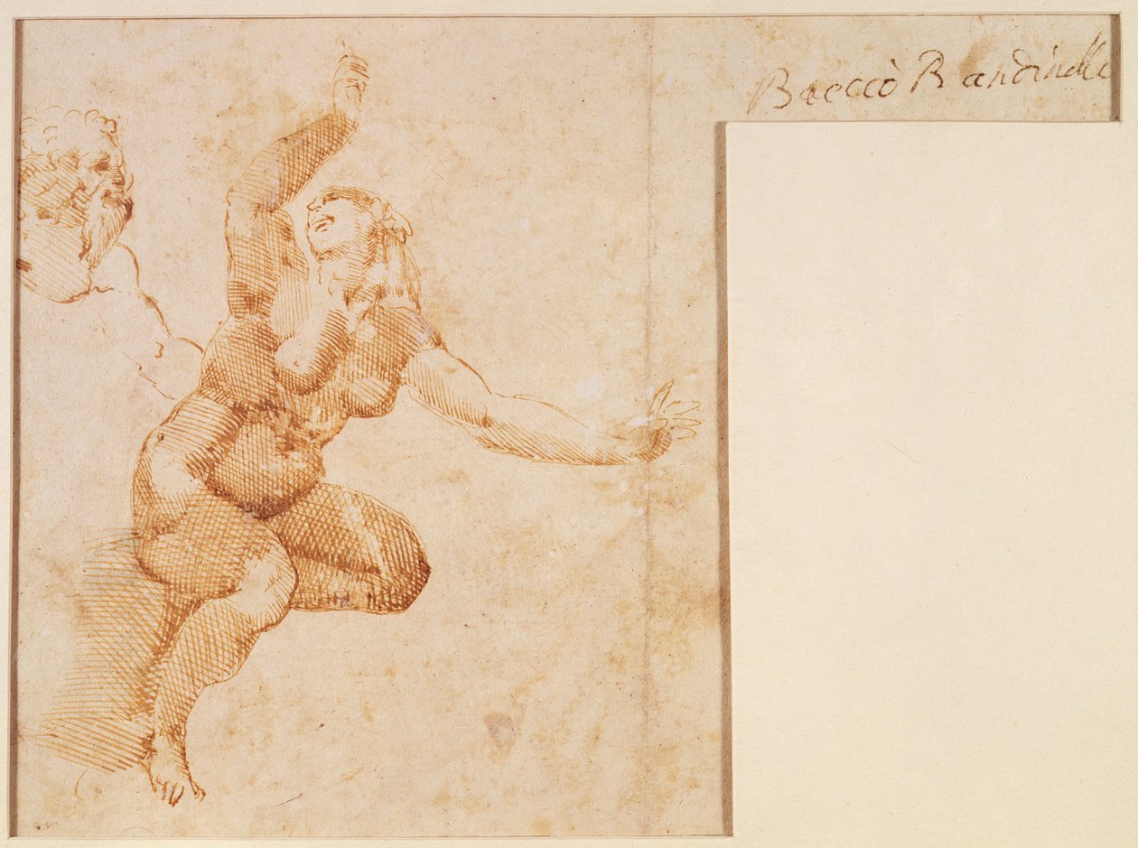 女性裸体研究 作者 米开朗基罗（Michelangelo Buonarroti）