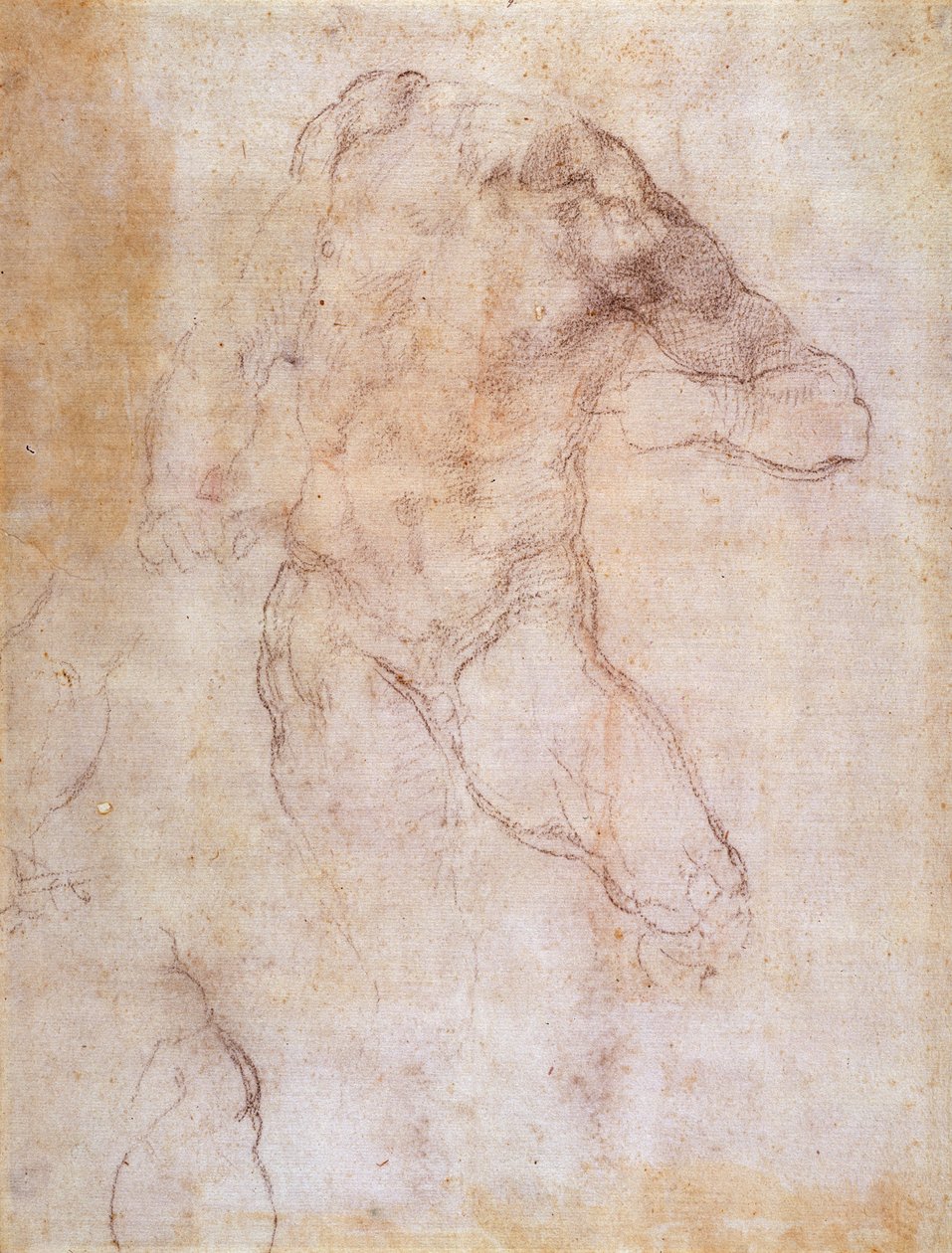 研究男性裸体 作者 米开朗基罗（Michelangelo Buonarroti）