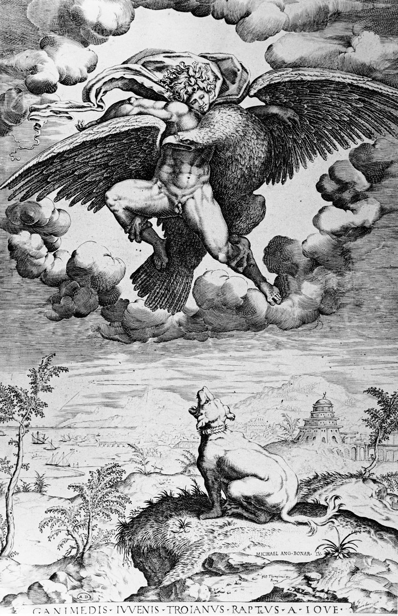 绑架木卫三 作者 米开朗基罗（Michelangelo Buonarroti）
