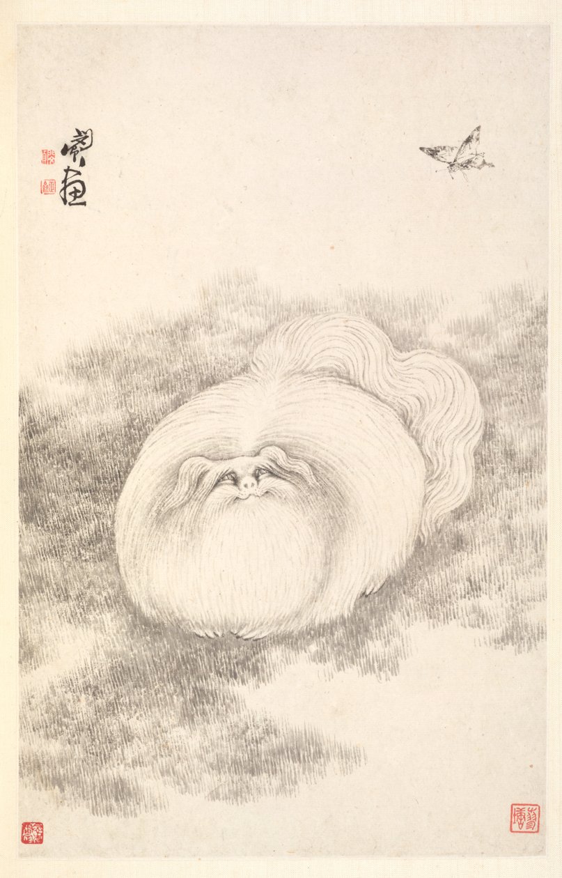 猫和蝴蝶，1788年。 作者 敏珍