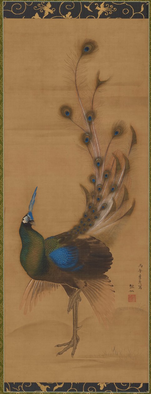 Peacock, 1786. 作者 森创泉