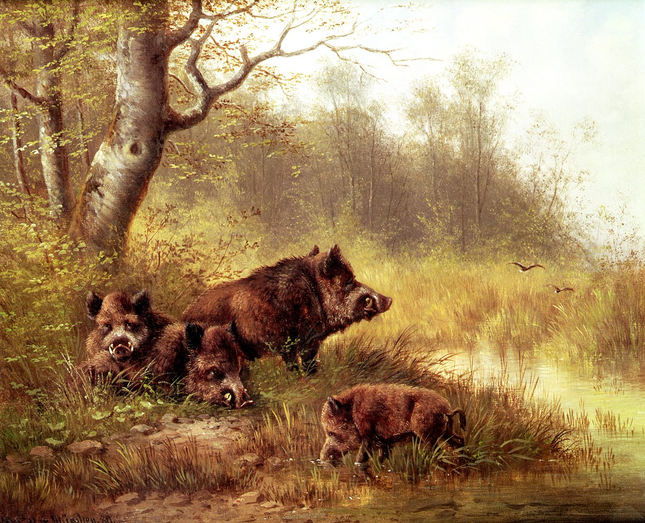 野猪在黑森林里，1880年 作者 莫里兹·穆勒（Moritz Muller）