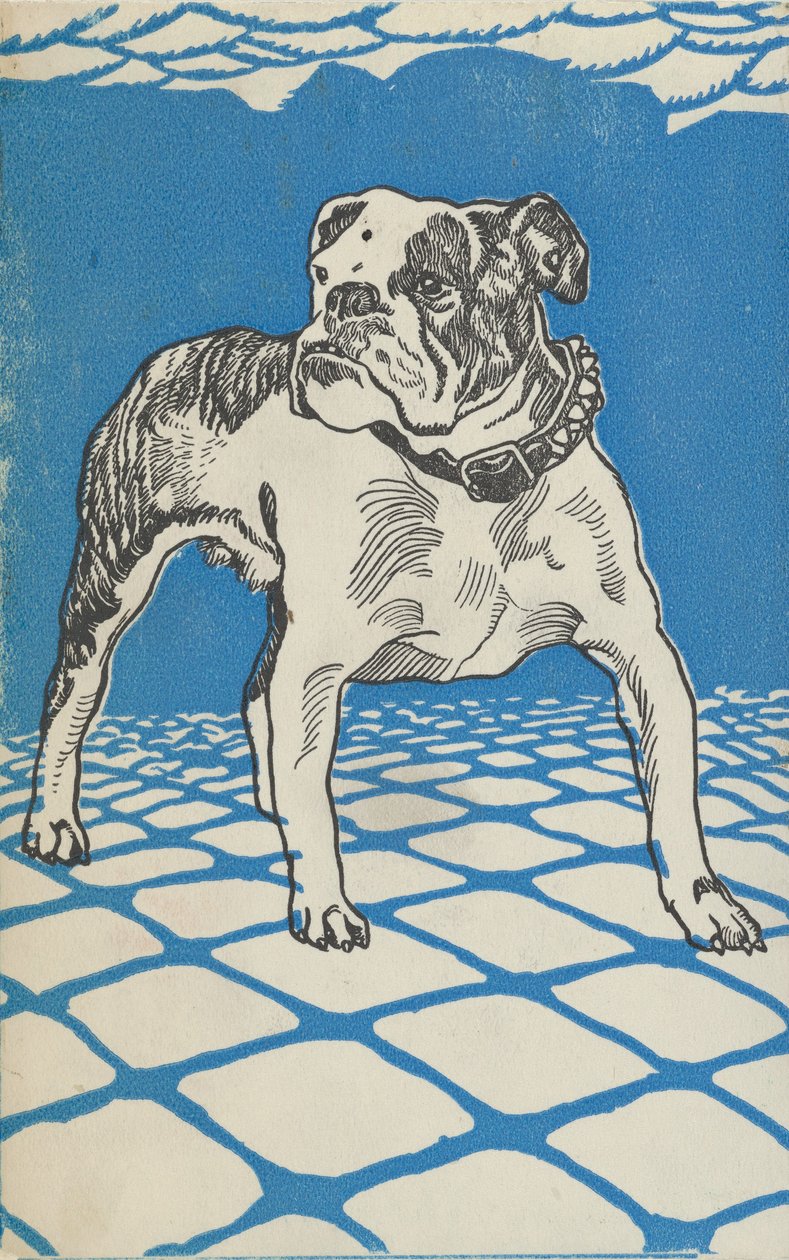 斗牛犬，1912年。 作者 莫里茨荣格