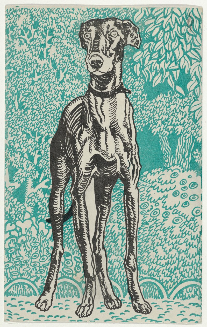 灰狗，1912年。 作者 莫里茨荣格