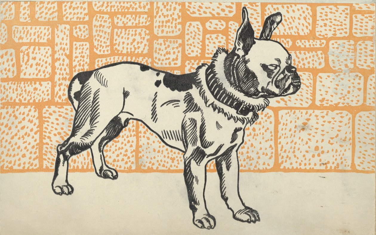 比特犬梗，1912年。 作者 莫里茨荣格