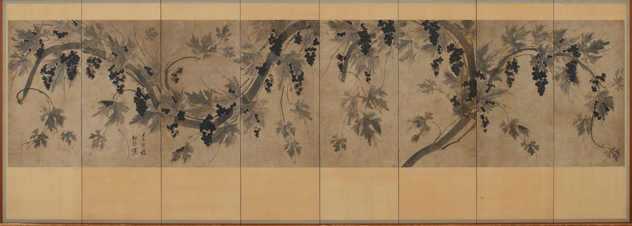 葡萄藤 作者 南谷 南谷