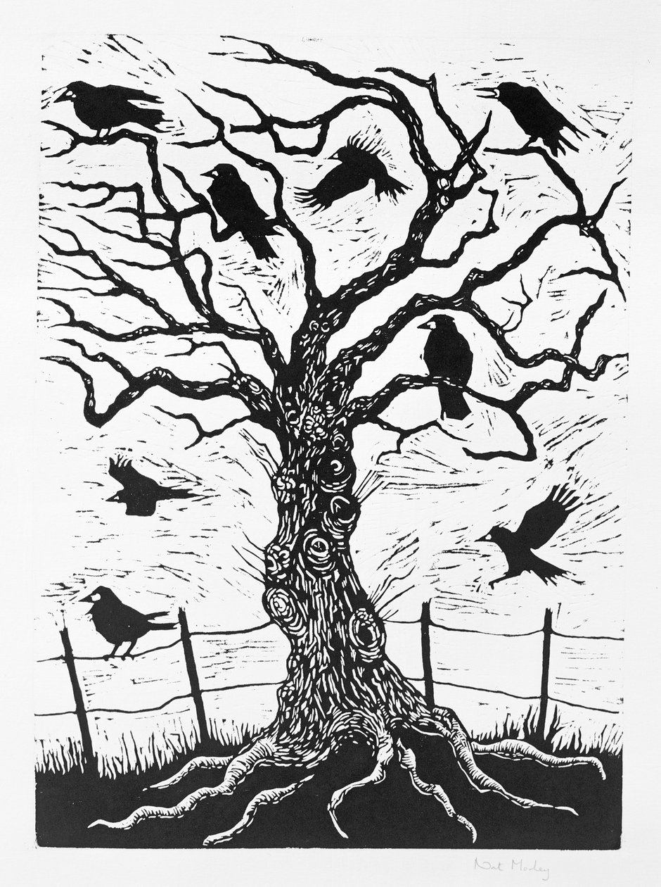 Rook Tree，1999 作者 纳特·莫利