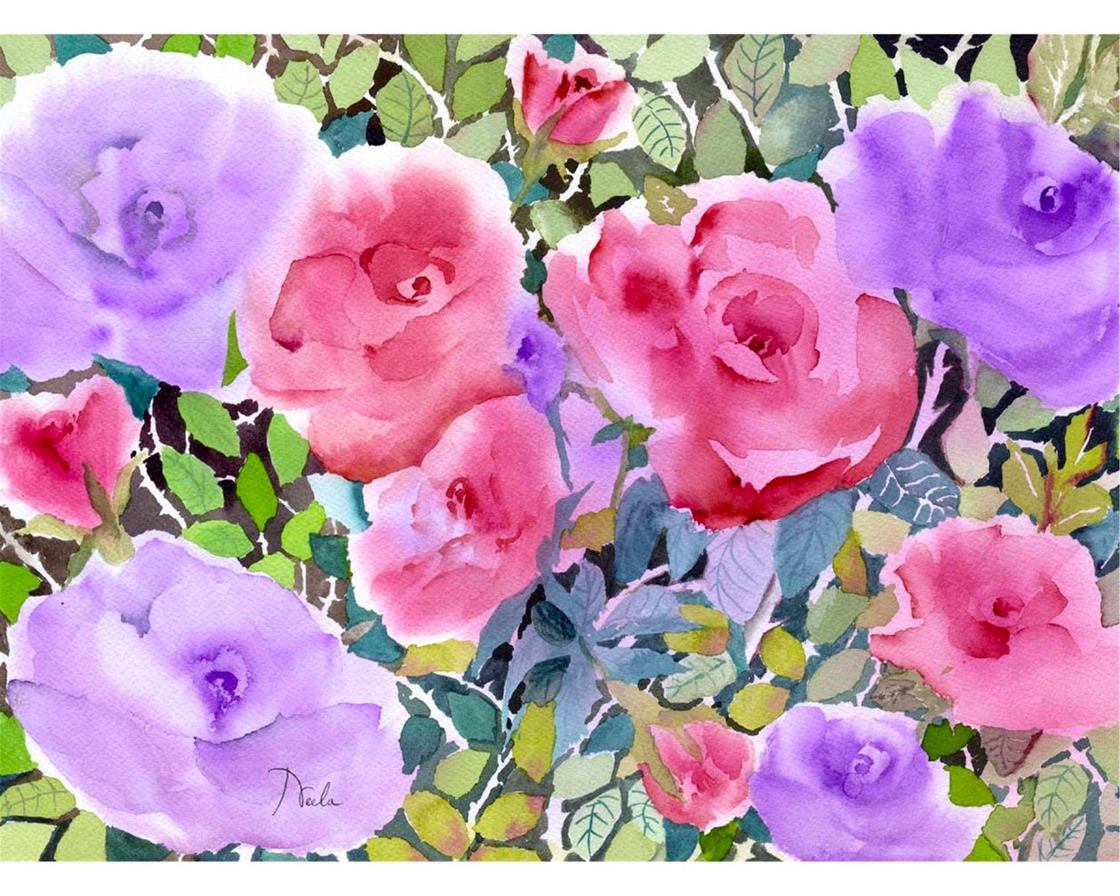 玫瑰花园 作者 妮拉·普斯帕拉吉