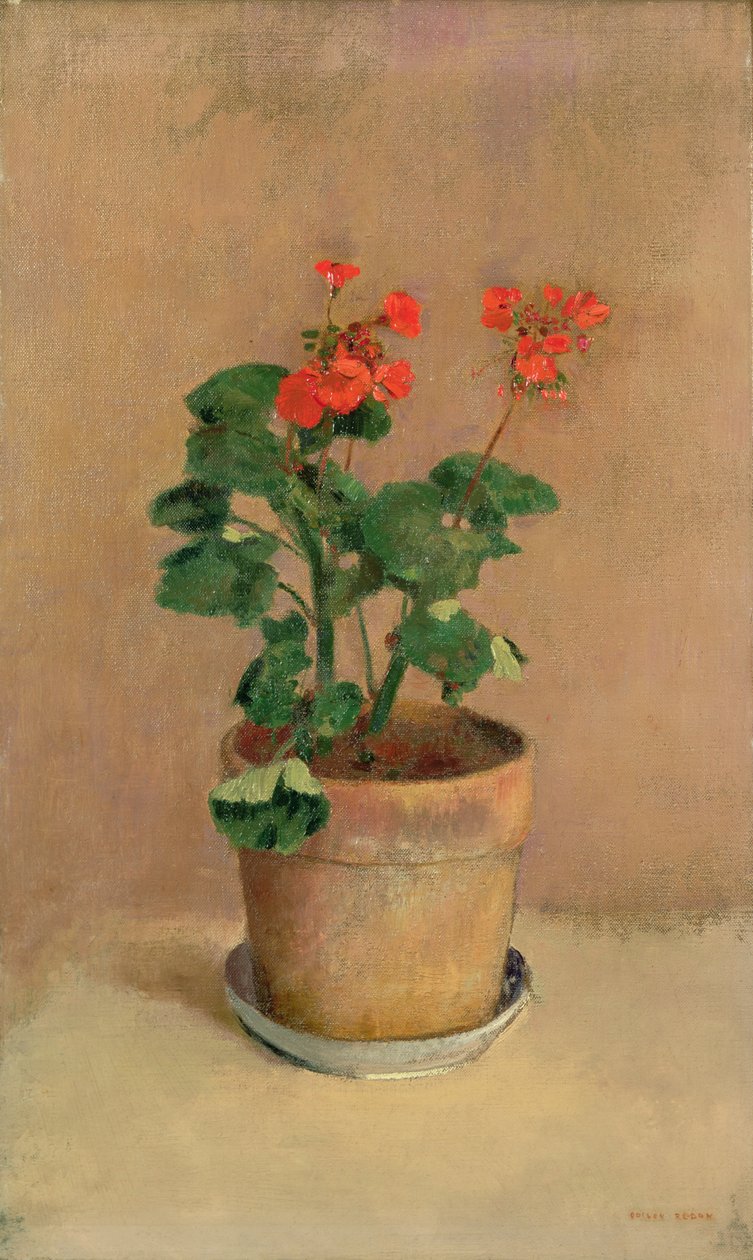 香蕉中的天竺葵，c.1905 作者 奥迪隆·雷顿（Odilon Redon）