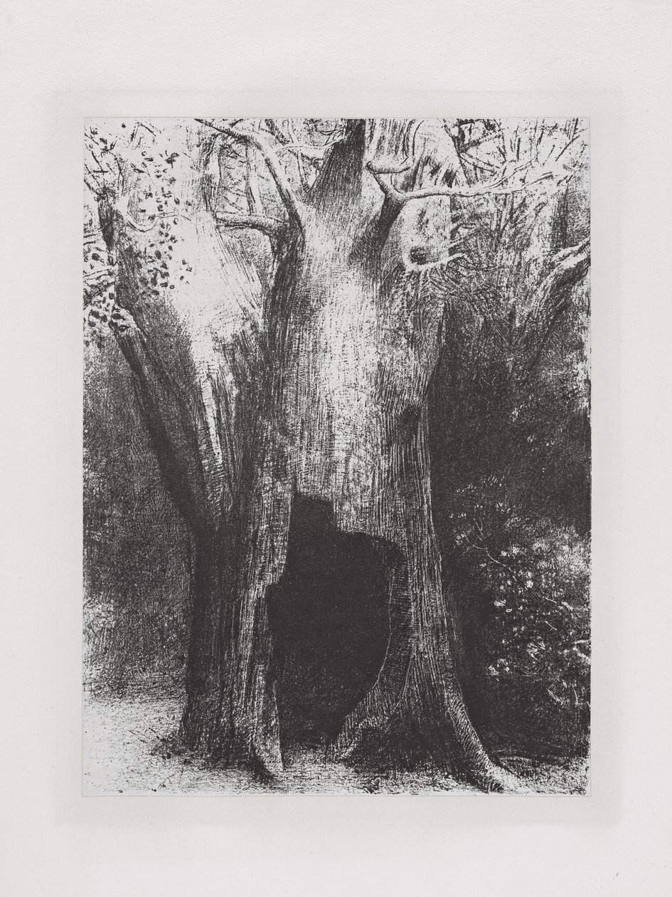 我陷入孤独 作者 奥迪隆·雷顿（Odilon Redon）