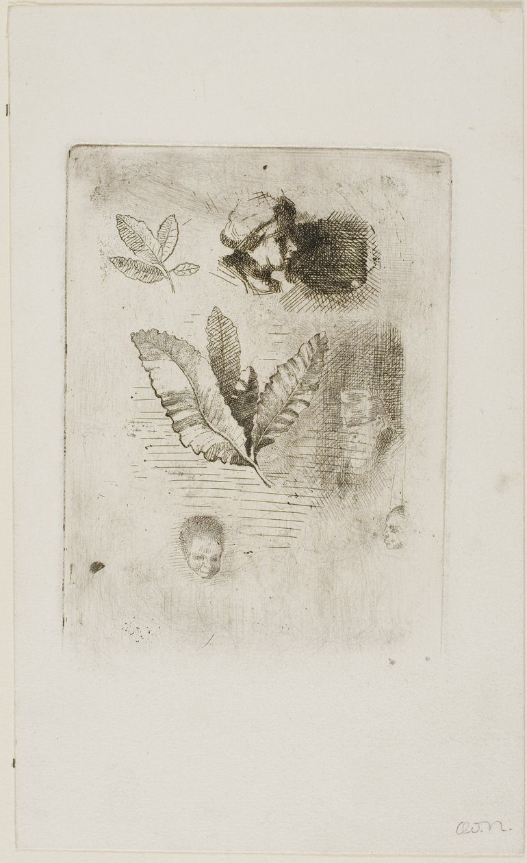 素描 作者 奥迪隆·雷顿（Odilon Redon）