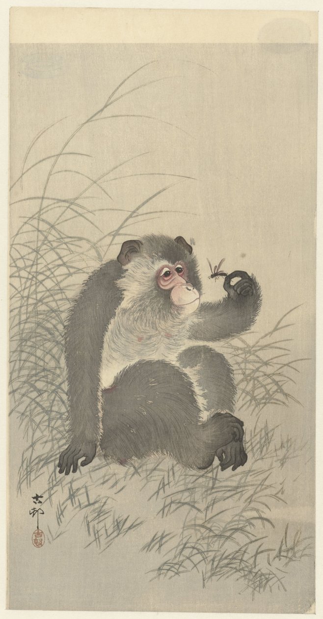 猴子与昆虫 作者 大原功臣