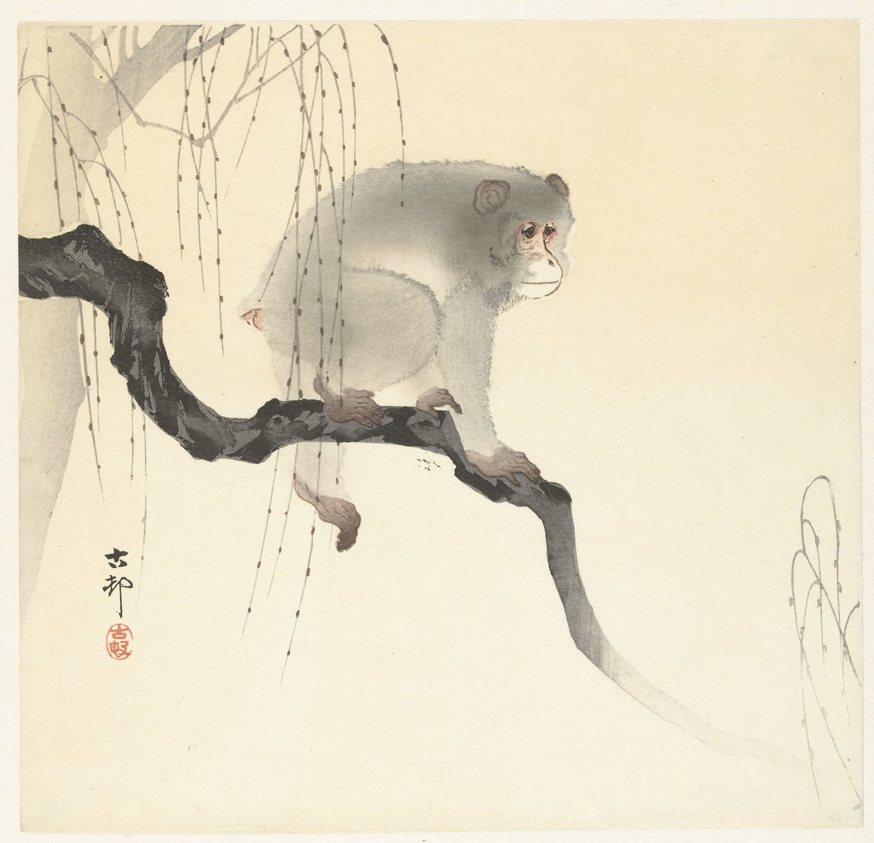 树枝上的猴子 作者 大原功臣