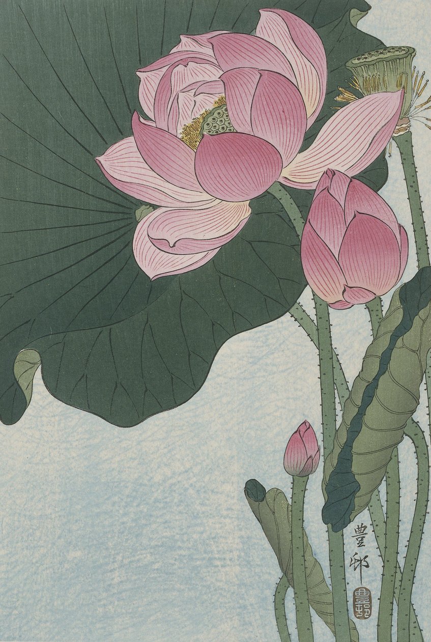盛开的荷花，1920-30（彩色木刻） 作者 大原功臣